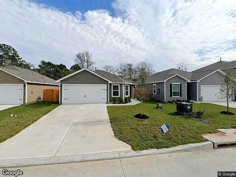 Titian, MAGNOLIA, TX 77355