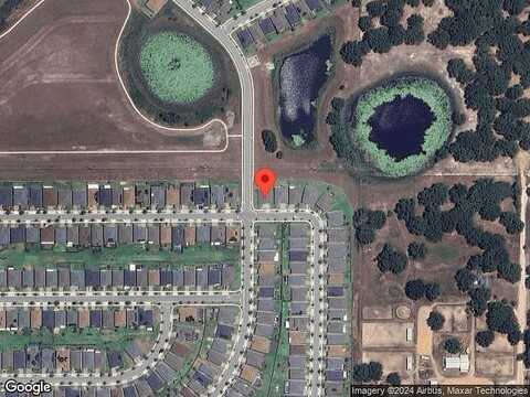 Silver Maple, GROVELAND, FL 34736