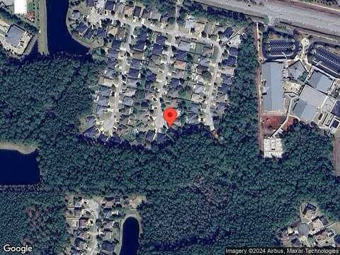 Dragonfly, SAINT JOHNS, FL 32259