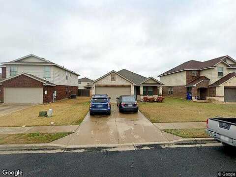 Mallard, LEANDER, TX 78641