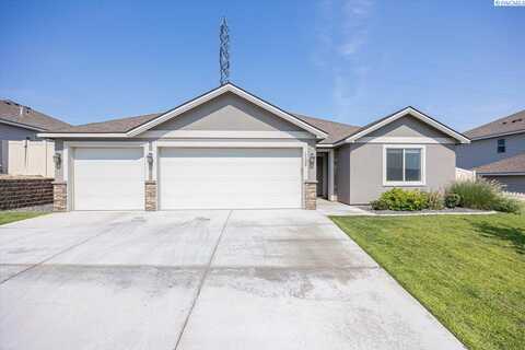 Aster, KENNEWICK, WA 99338