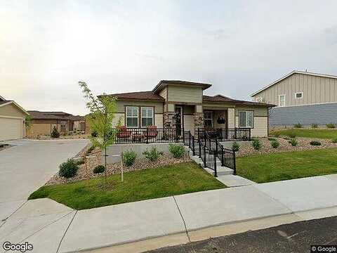 Bear Cub, BROOMFIELD, CO 80021