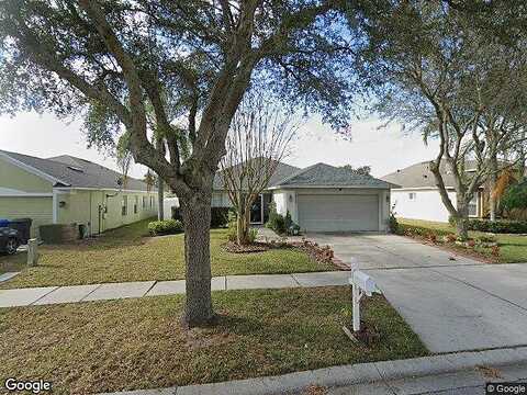 Buckhorn Preserve, VALRICO, FL 33596