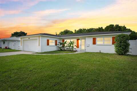 Roy Hanna, SAINT PETERSBURG, FL 33712