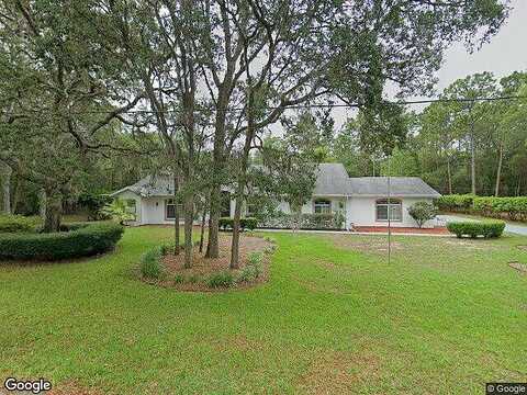 Mineral, HERNANDO, FL 34442