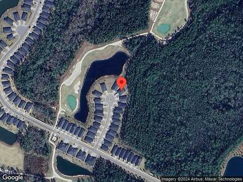 Greenie, SAINT JOHNS, FL 32259