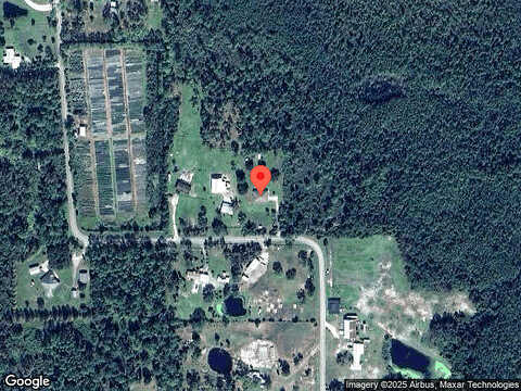 Archie, NEW SMYRNA BEACH, FL 32168