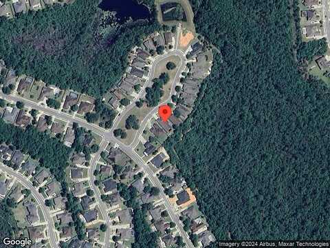 Marsh Elder, PENSACOLA, FL 32526