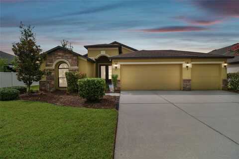 Wild Elm, WESLEY CHAPEL, FL 33545