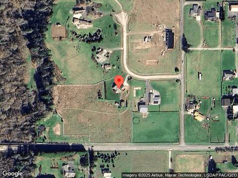 Marigold, SEQUIM, WA 98382