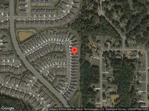 Beautyberry, GRIFFIN, GA 30223
