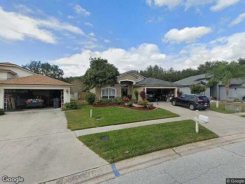 Horseshoe Pick, VALRICO, FL 33594