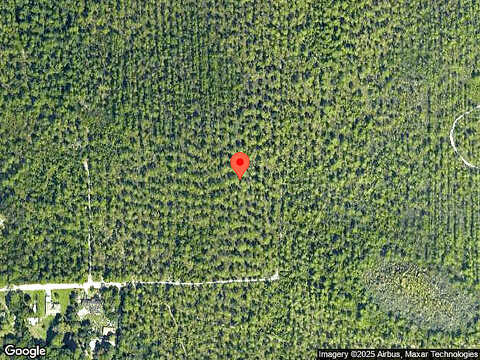 Conifer, PANAMA CITY, FL 32404