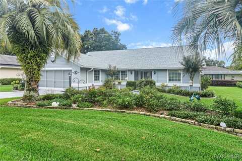 Blueflax, BEVERLY HILLS, FL 34465