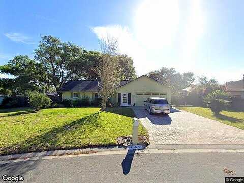 Mohican, VALRICO, FL 33594