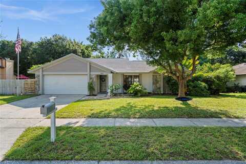 Still Meadows, PALM HARBOR, FL 34683