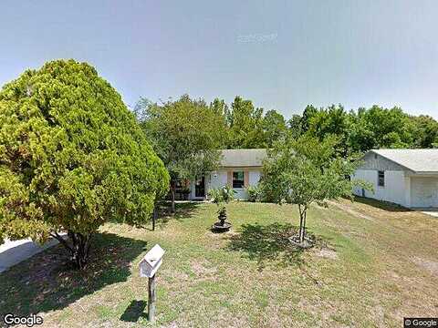 Ansley, DADE CITY, FL 33523