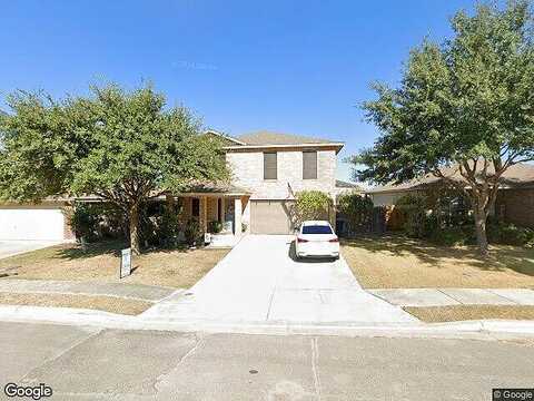 Kinglet, NEW BRAUNFELS, TX 78130