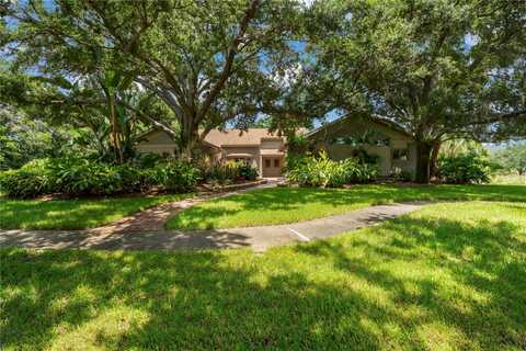 Autumn, PALM HARBOR, FL 34683