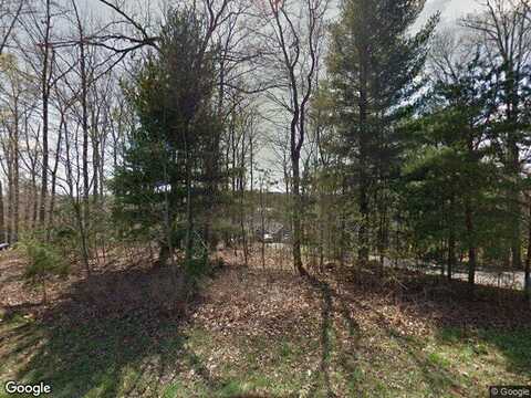 Sourwood, HARDY, VA 24101