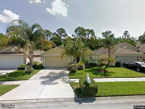 Birds Eye, WESLEY CHAPEL, FL 33543
