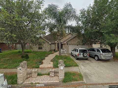 Xenops, MCALLEN, TX 78504