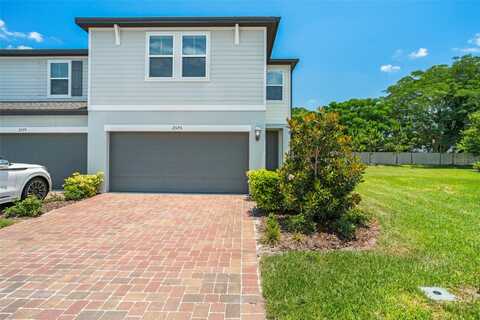 Sweet Viburnum, OCOEE, FL 34761