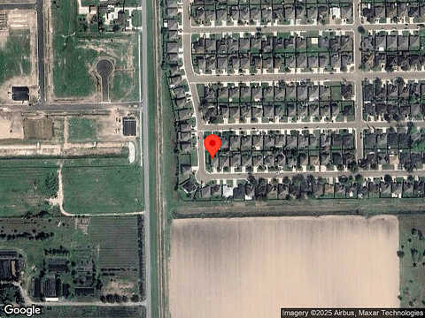 Bald Cypress, WESLACO, TX 78596