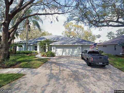 Eagle Bluff, VALRICO, FL 33596