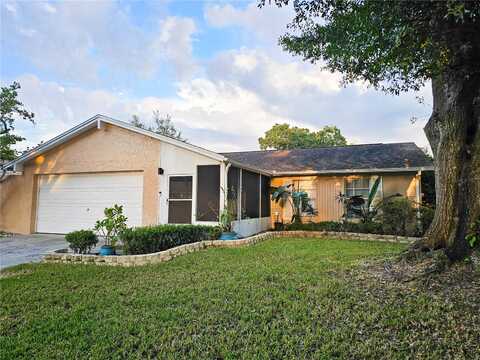 Pavilion, BRANDON, FL 33511