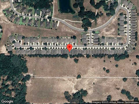 Belgian, MOUNT DORA, FL 32757