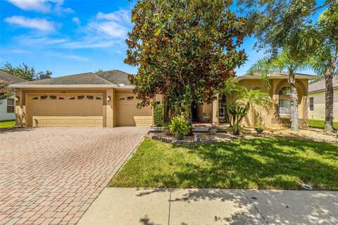 Auburn Leaf, LAND O LAKES, FL 34638