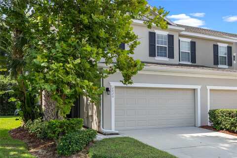 Switch Grass, OCOEE, FL 34761