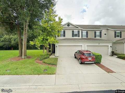 Switch Grass, OCOEE, FL 34761