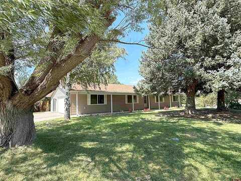 Pioneer, MONTROSE, CO 81403