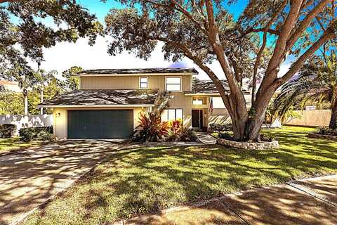 Brae Moor, DUNEDIN, FL 34698