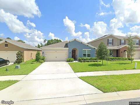 Centipede, CLERMONT, FL 34714