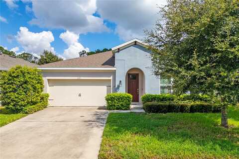 Centipede, CLERMONT, FL 34714