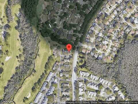 Rambling Vine, TAMPA, FL 33624