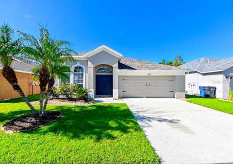 Open Field, BRANDON, FL 33510