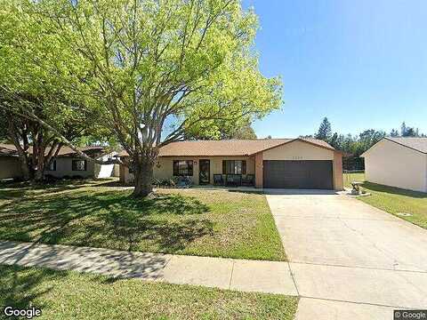 Dexter, PORT ORANGE, FL 32129