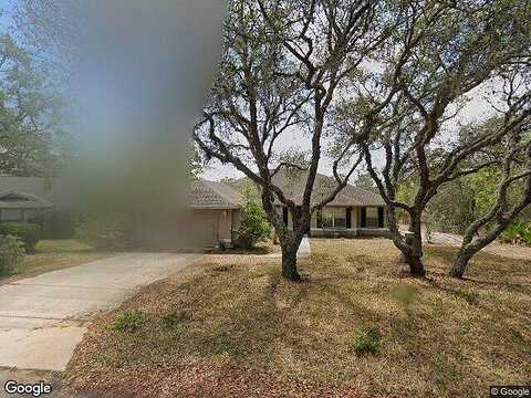 Witch Hazel, HOMOSASSA, FL 34446
