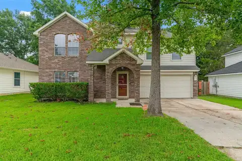 Buckskin, WILLIS, TX 77378