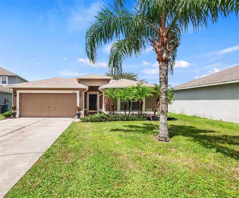 Copper Head, RIVERVIEW, FL 33569