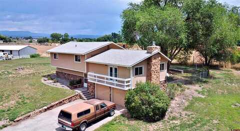 Kelly, AUSTIN, CO 81410
