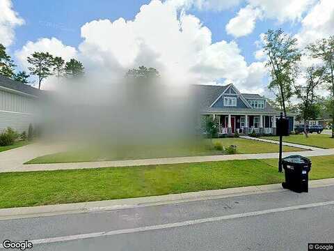 Deer Moss, NICEVILLE, FL 32578