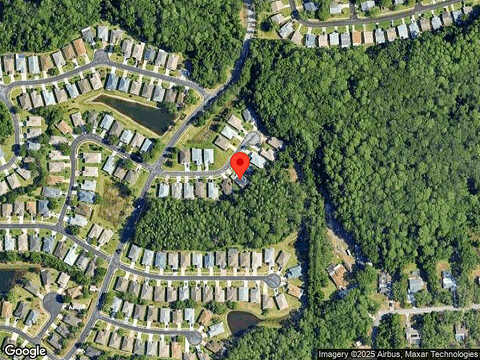 Sinatra, NEW PORT RICHEY, FL 34654