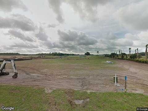 Callisia, ODESSA, FL 33556