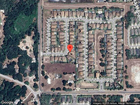 Fish Eagle, RIVERVIEW, FL 33569