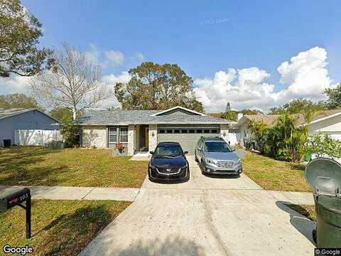 Forest, SAFETY HARBOR, FL 34695
